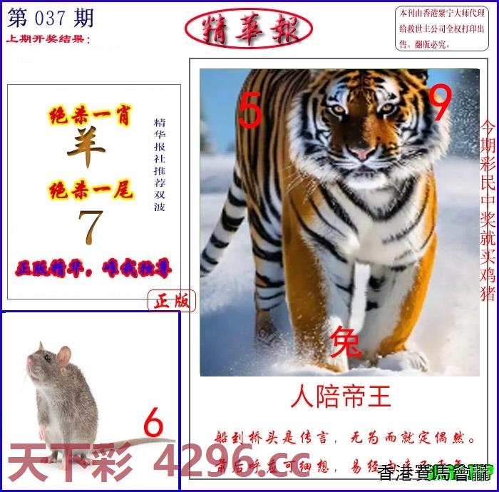 新精华报报